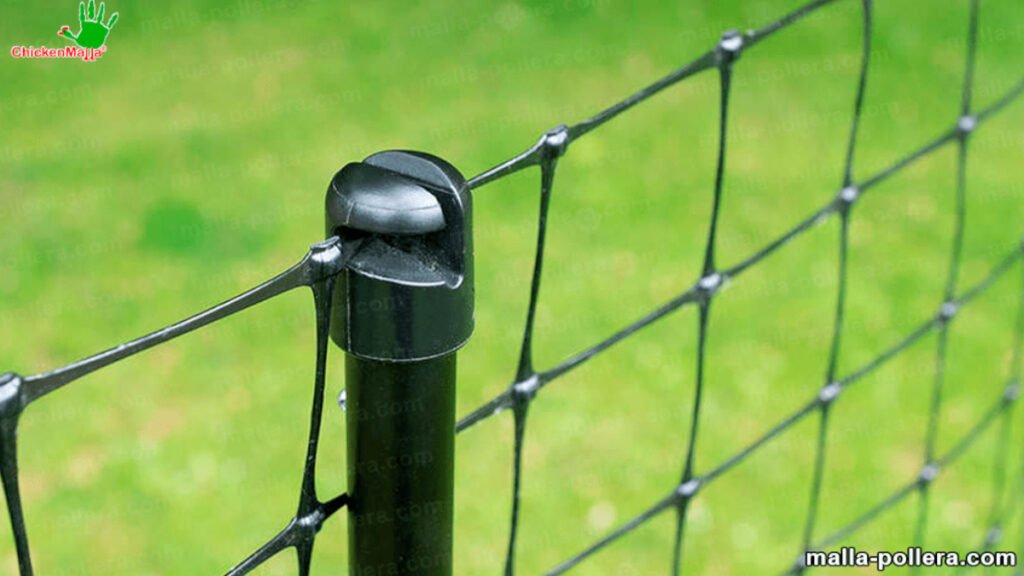 gallinero para protección de gallinas