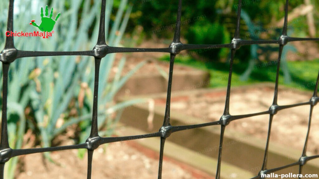 proteccion de pollos